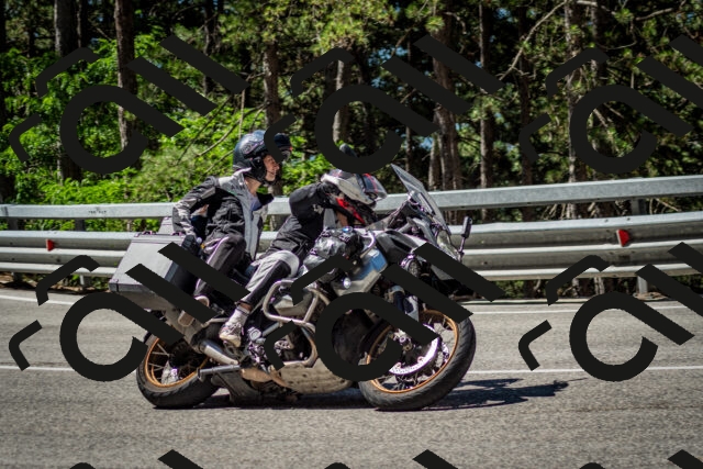 202506291053-DSC_2493_c2