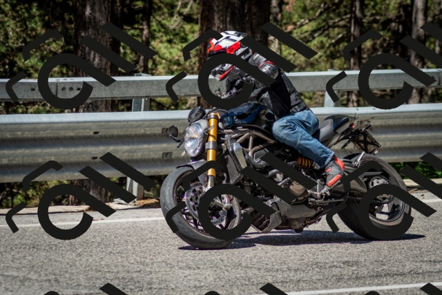 202506291054-DSC_2495_c2