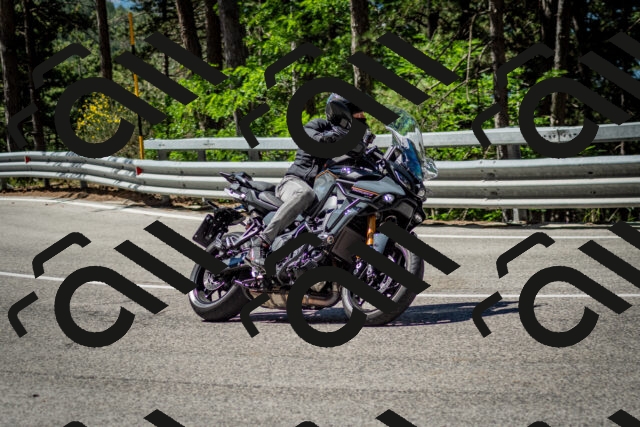 202506291055-DSC_2505_c2