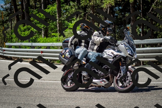 202506291055-DSC_2508_c2