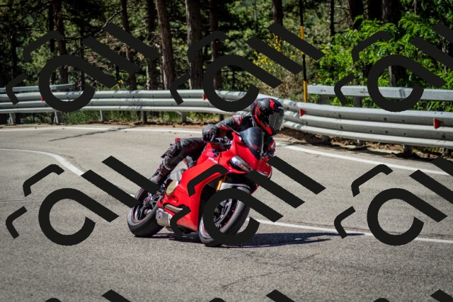 202506291056-DSC_2510_c2