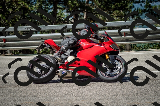 202506291056-DSC_2511_c2