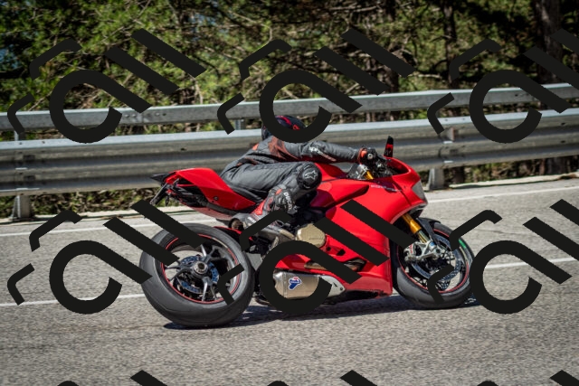 202506291056-DSC_2512_c2