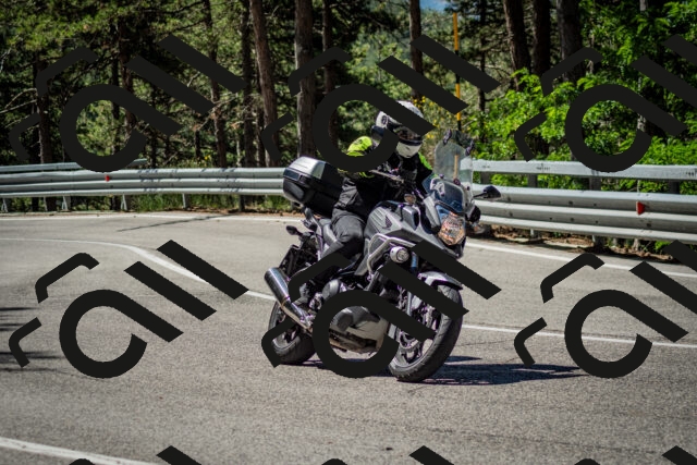 202506291057-DSC_2513_c2