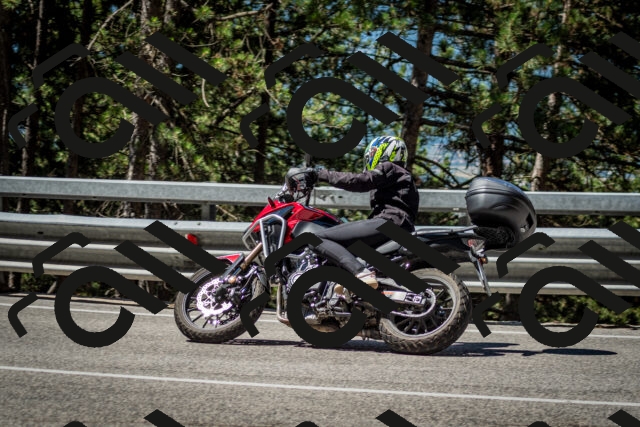 202506291057-DSC_2517_c2