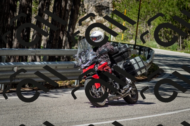 202506291057-DSC_2518_c2