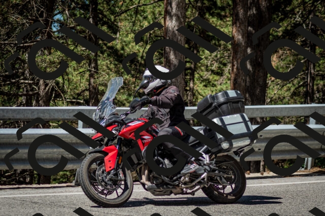 202506291057-DSC_2519_c2