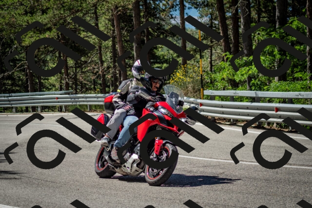 202506291058-DSC_2527_c2