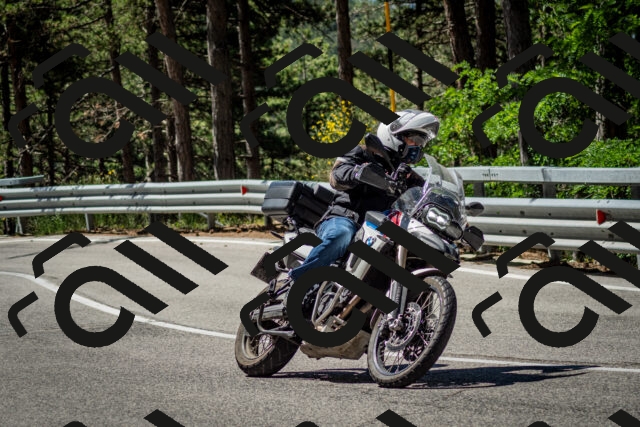 202506291058-DSC_2529_c2