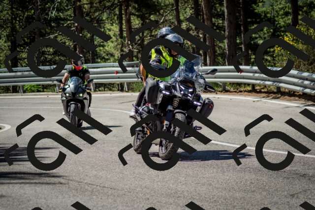 202506291059-DSC_2531_c2