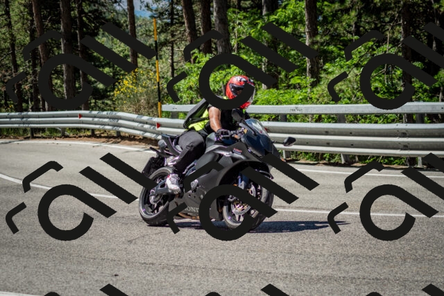 202506291059-DSC_2533_c2