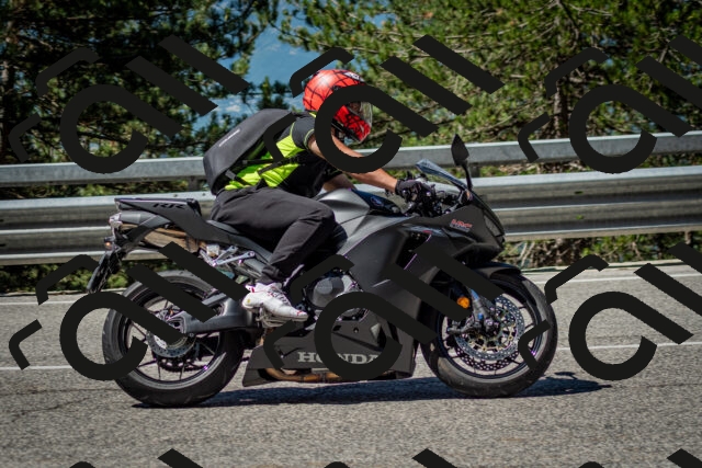 202506291059-DSC_2534_c2