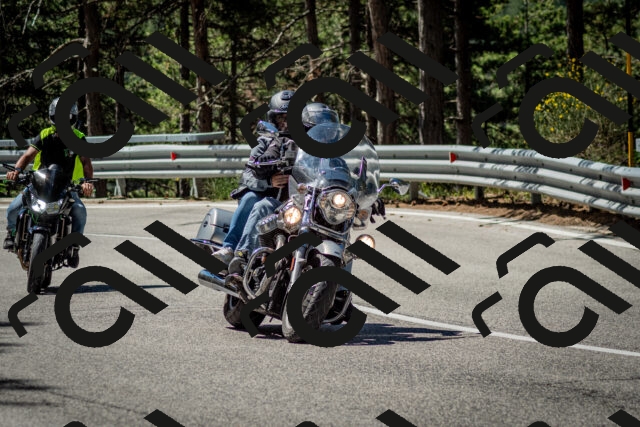 202506291059-DSC_2535_c2