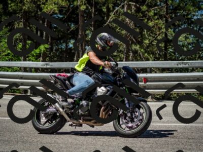 202506291059-DSC_2538_c2