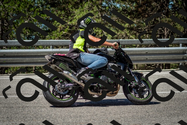 202506291059-DSC_2539_c2