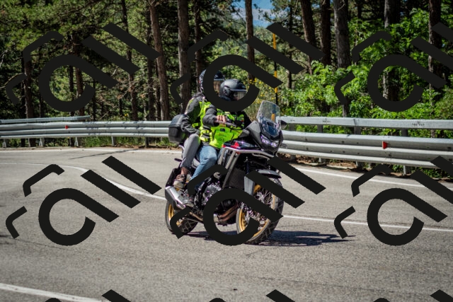 202506291059-DSC_2540_c2