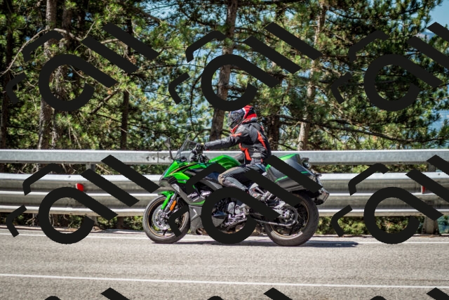 202506291059-DSC_2543_c2