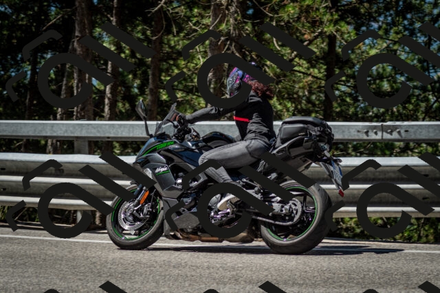 202506291059-DSC_2544_c2