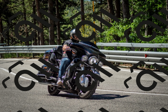 202506291100-DSC_2551_c2