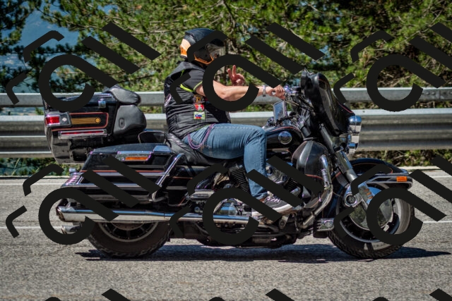 202506291100-DSC_2552_c2