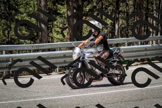 202506291100-DSC_2553_c2