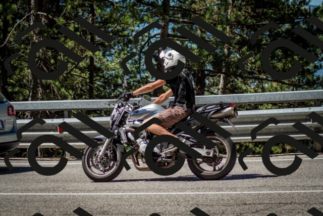 202506291100-DSC_2554_c2