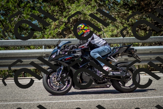 202506291100-DSC_2555_c2