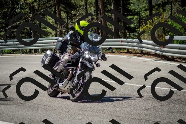 202506291101-DSC_2558_c2