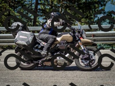 202506291101-DSC_2563_c2