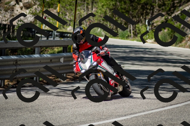 202506291103-DSC_2578_c2