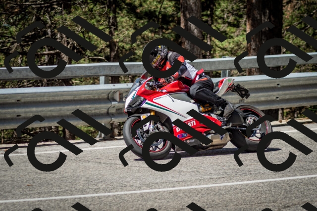 202506291103-DSC_2579_c2