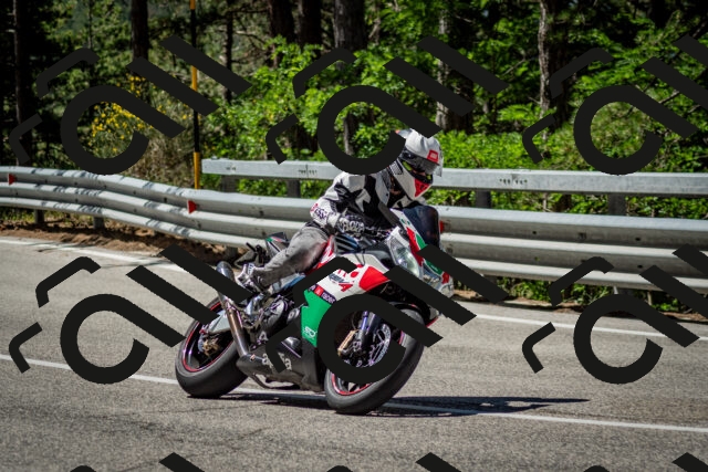 202506291103-DSC_2582_c2