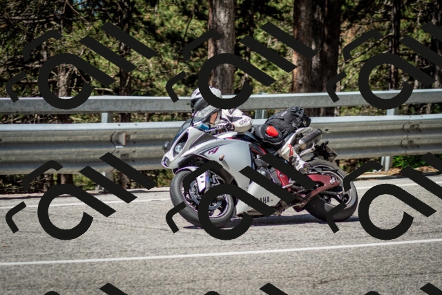 202506291104-DSC_2587_c2