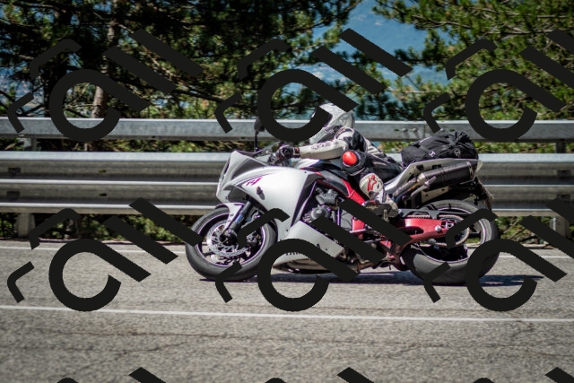 202506291104-DSC_2588_c2