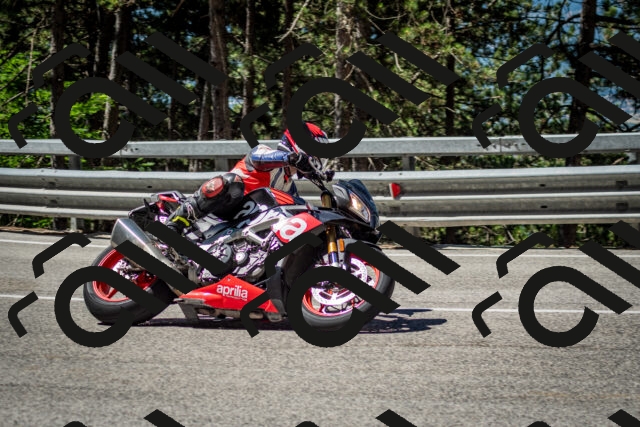 202506291104-DSC_2591_c2