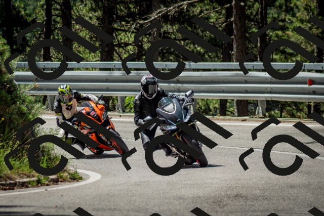 202506291105-DSC_2594_c2