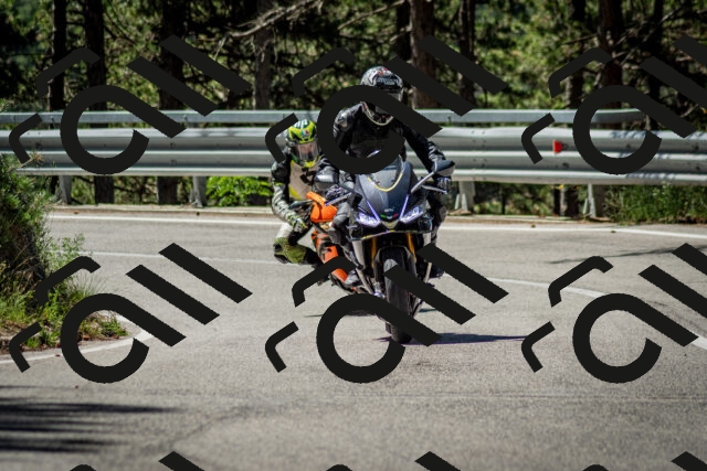 202506291105-DSC_2595_c2