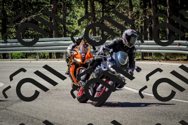 202506291105-DSC_2596_c2