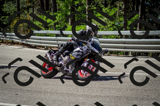 202506291105-DSC_2597_c2