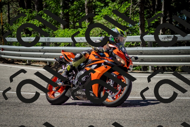 202506291105-DSC_2598_c2