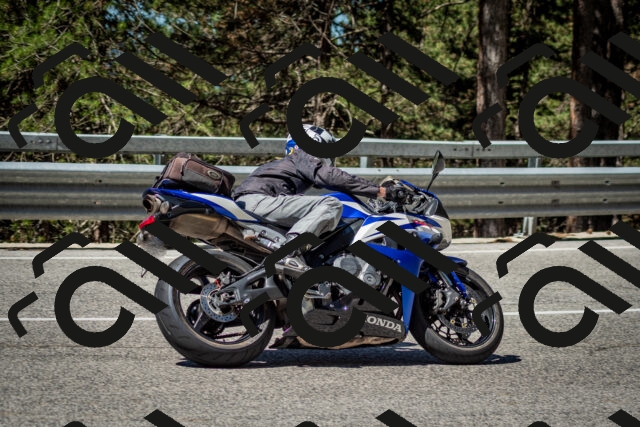 202506291105-DSC_2602_c2