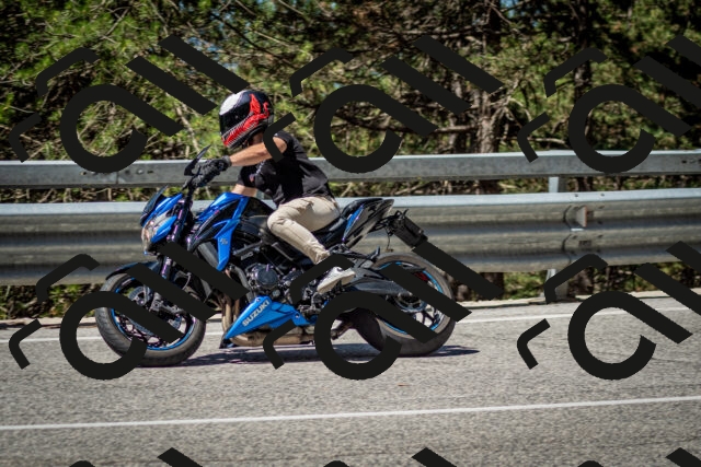 202506291105-DSC_2606_c2