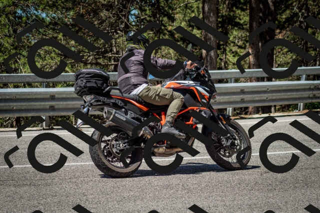 202506291105-DSC_2611_c2