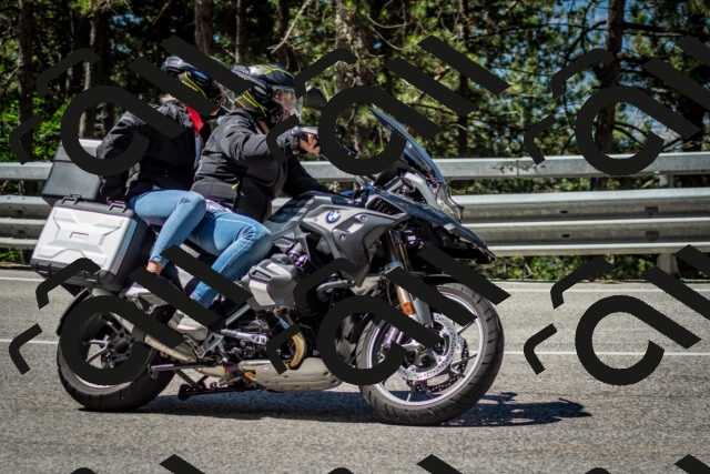 202506291105-DSC_2614_c2