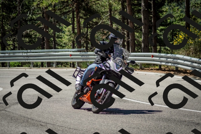 202506291106-DSC_2616_c2