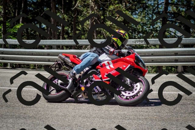 202506291106-DSC_2619_c2