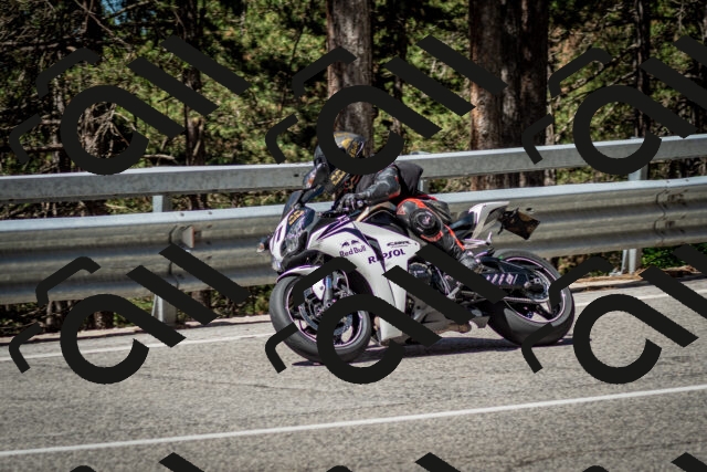 202506291106-DSC_2620_c2