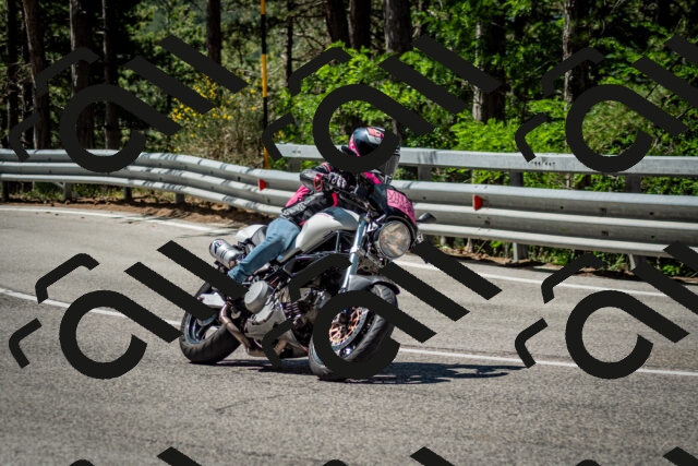 202506291106-DSC_2622_c2