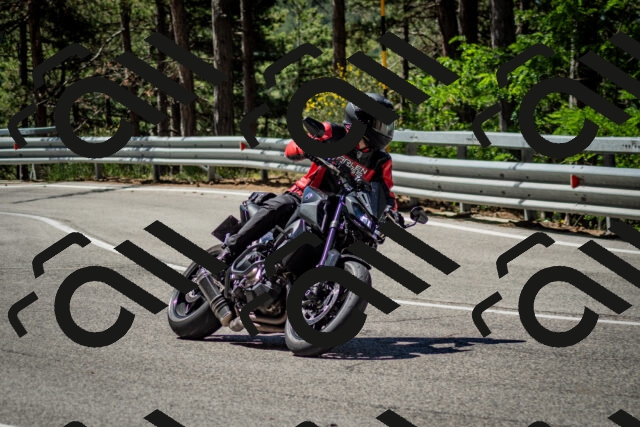 202506291106-DSC_2631_c2