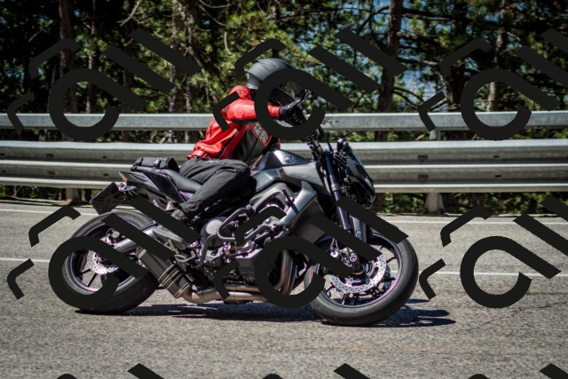 202506291106-DSC_2632_c2